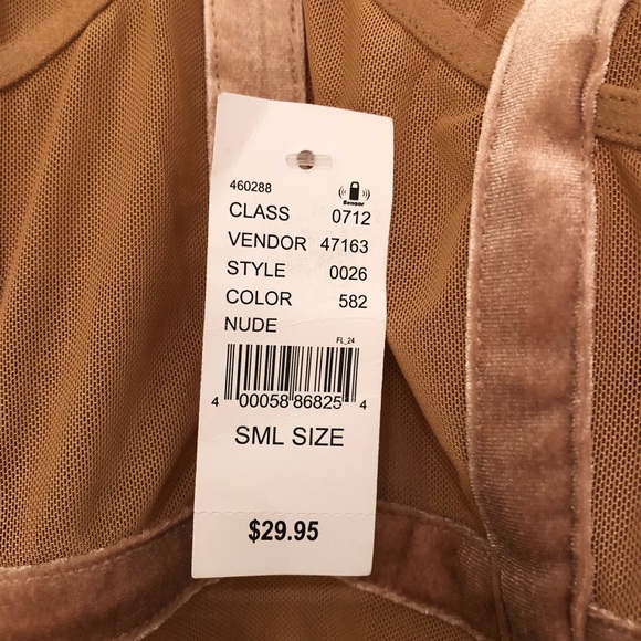 NWT. Mesh & Velvet Nude Pink Bodysuit. - Picture 3 of 5